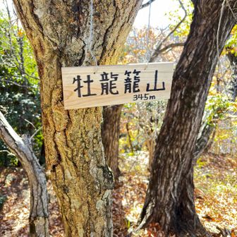 山頂の可愛い標識