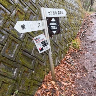 傘を差しながら歩きました。すれ違いなし。頑張れば15:15のバスに乗れたかもしれないが今日は慎重に下山。