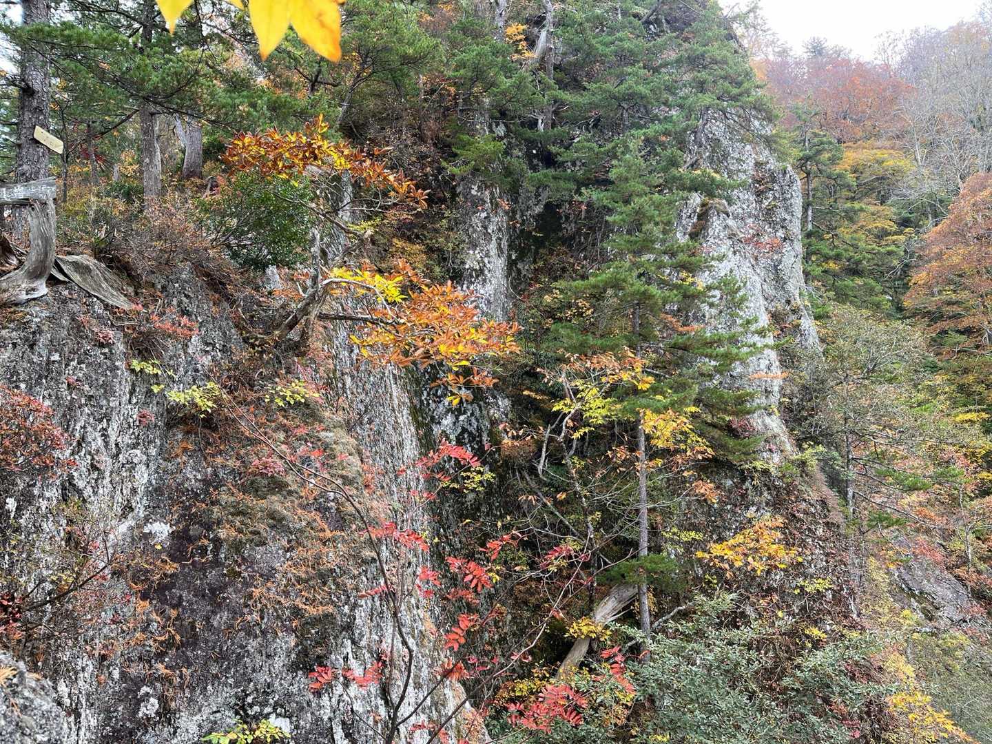 志津倉山登山口-志津倉山 周回コースの写真