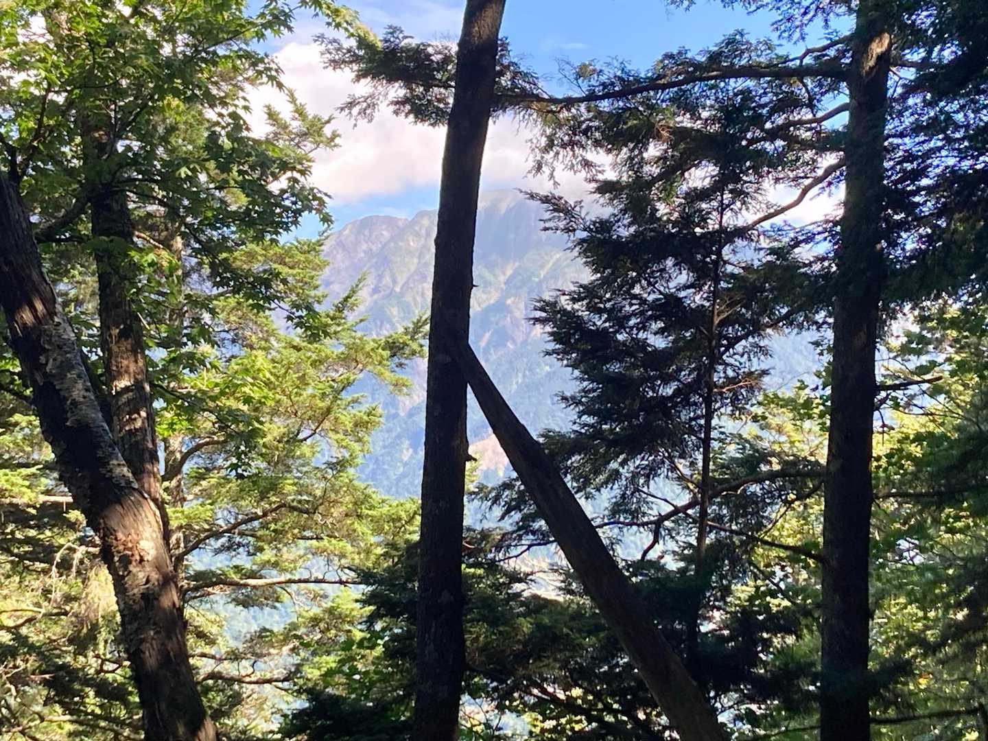 隙間からチョロッと聖が見えてすぐに雲で隠れてしまった(ﾟ∀ﾟ)
立ち止まって見ていたら浮石が落ちてきてヒヤッとしたり…何かとあります笑