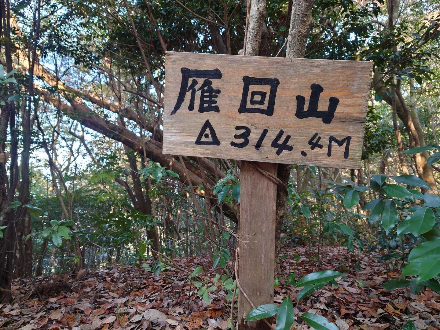で、山頂😺