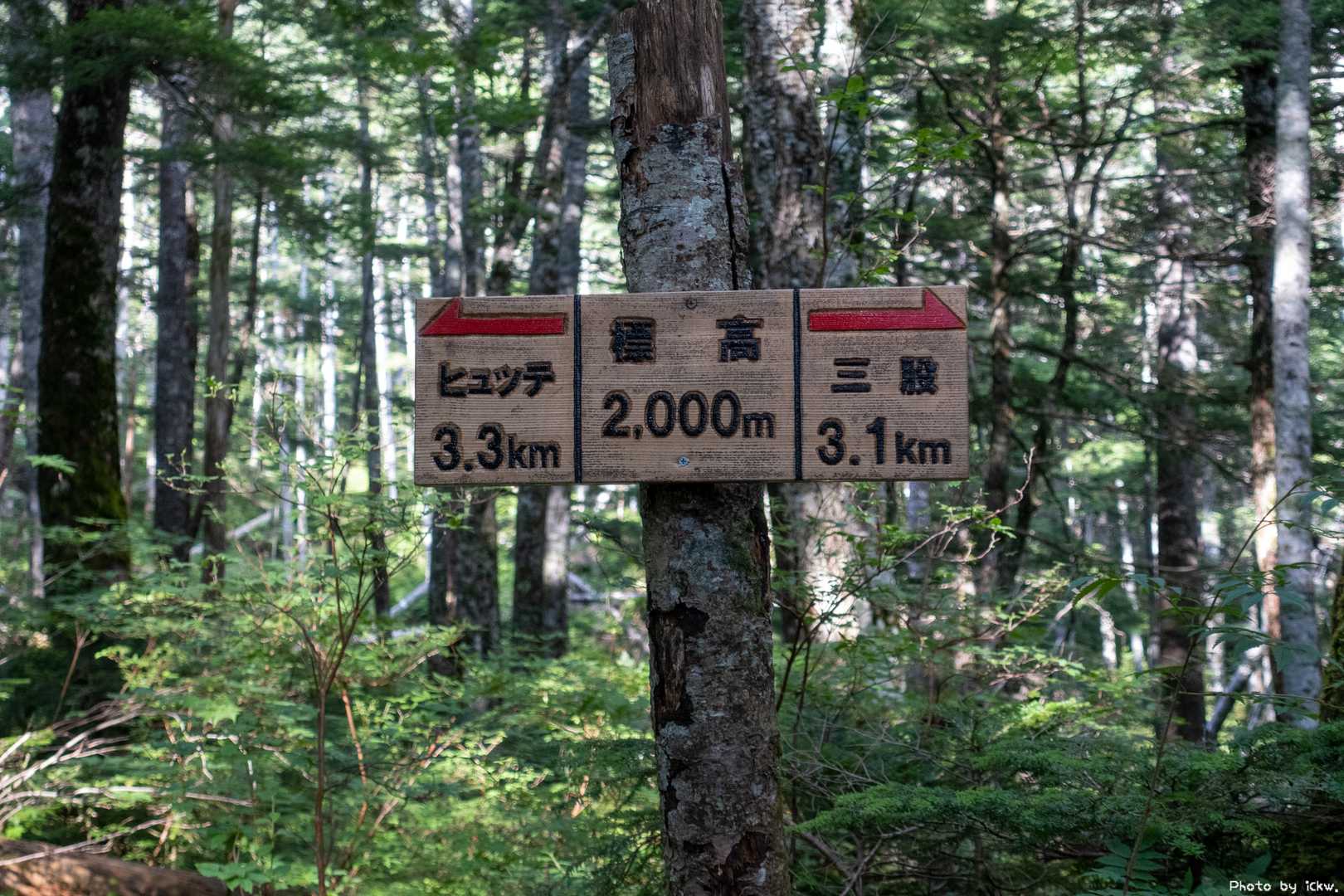 標高2000m到達
丁度半分くらい？