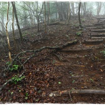 次のピークへの最後の登りは階段。