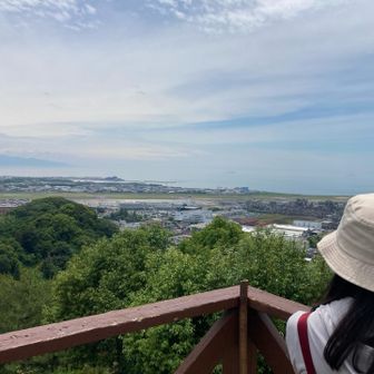 飛行機はタイミングが合わず…