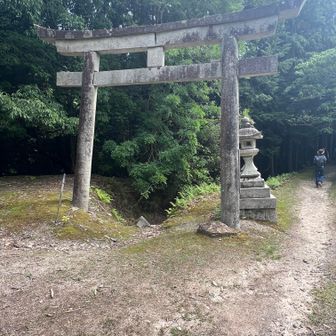 掛橋石鳥居