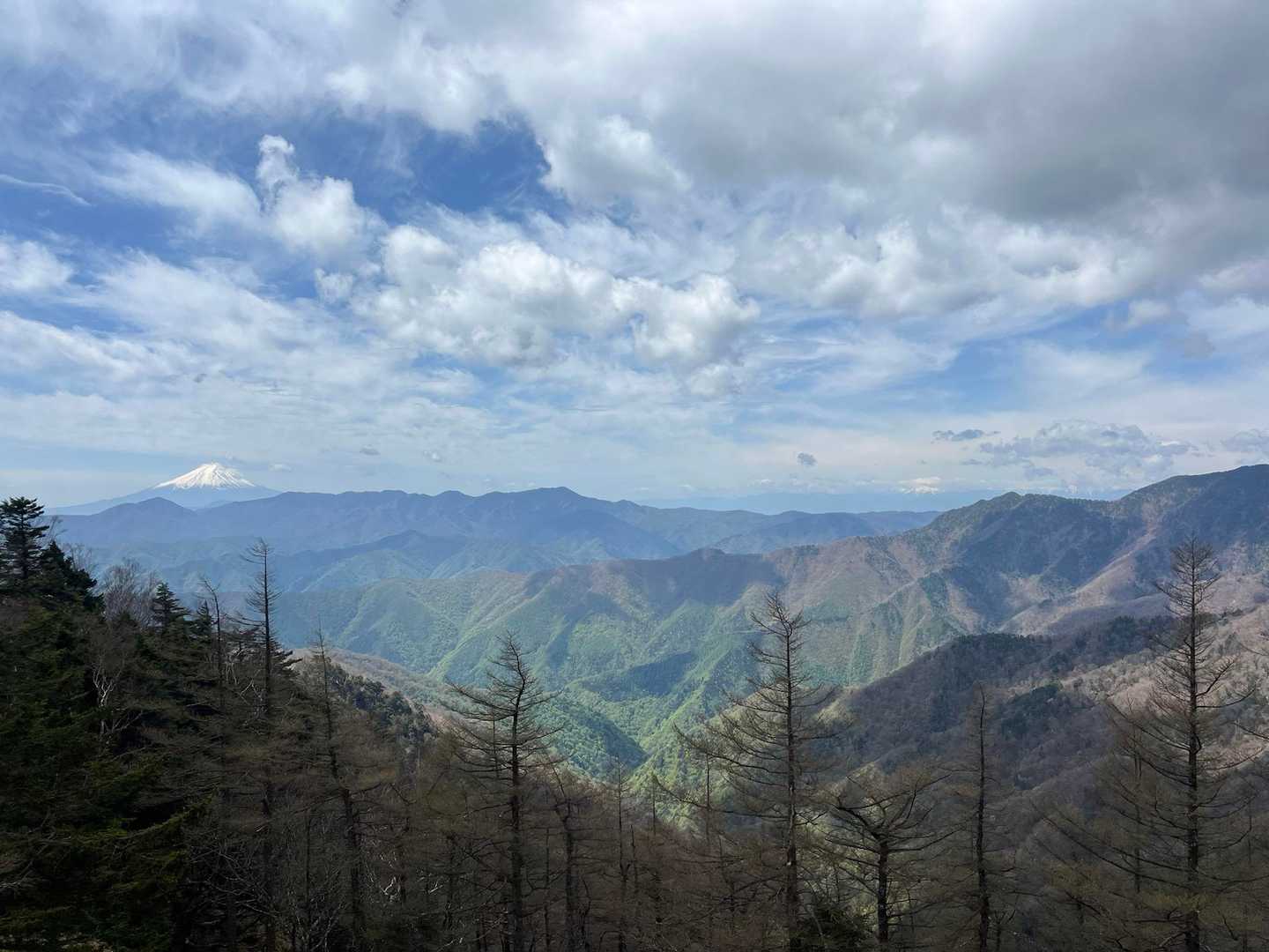 雲取山（鴨沢コース）の写真