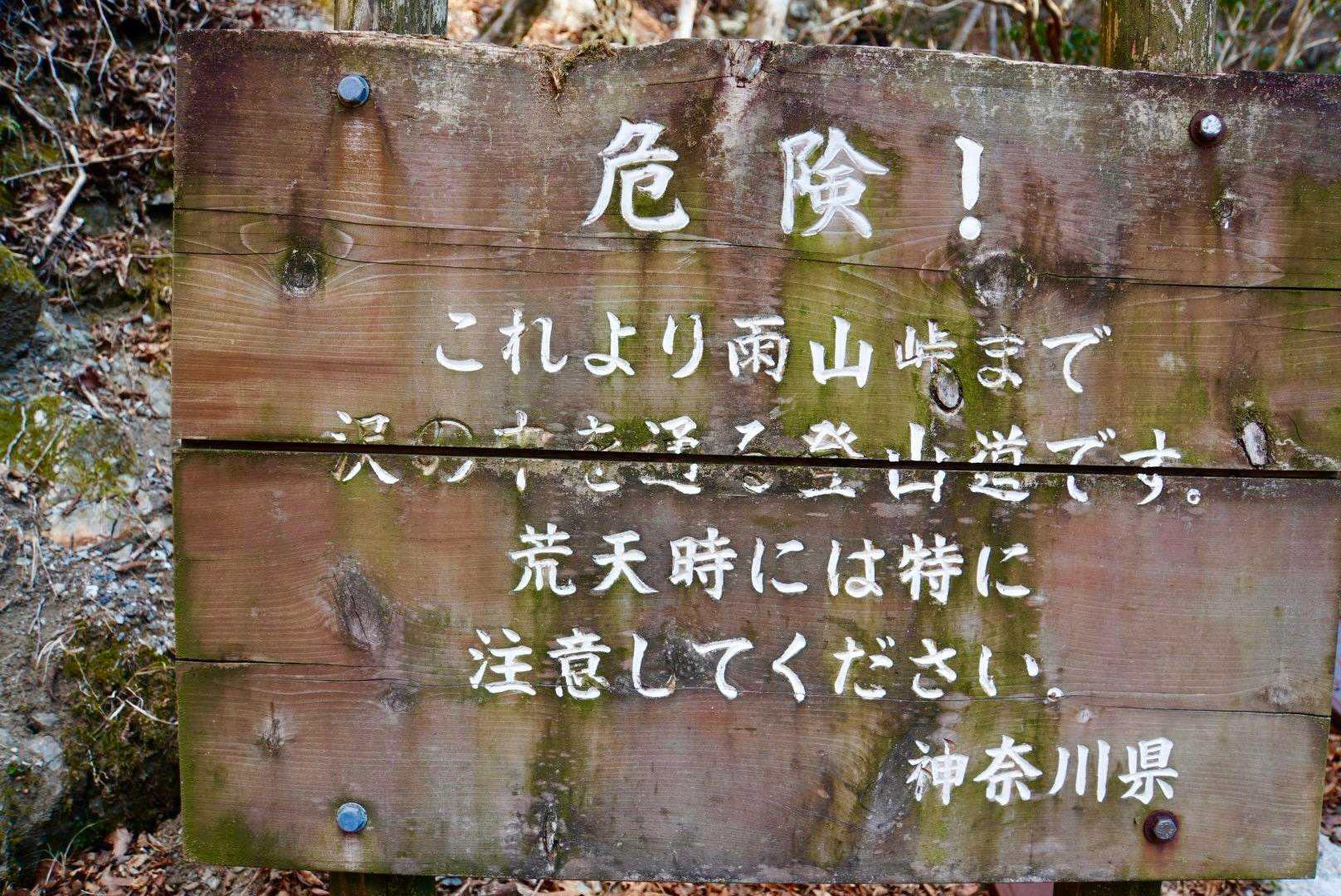 "沢の中を通る登山道"😬