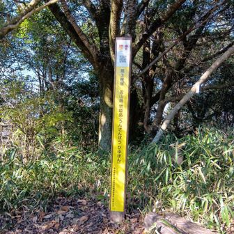 葛城修験、後27カ所も回れるのか？💦（震え声）