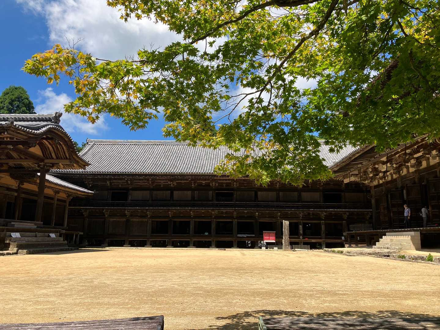 西坂登山口 往復コースの写真