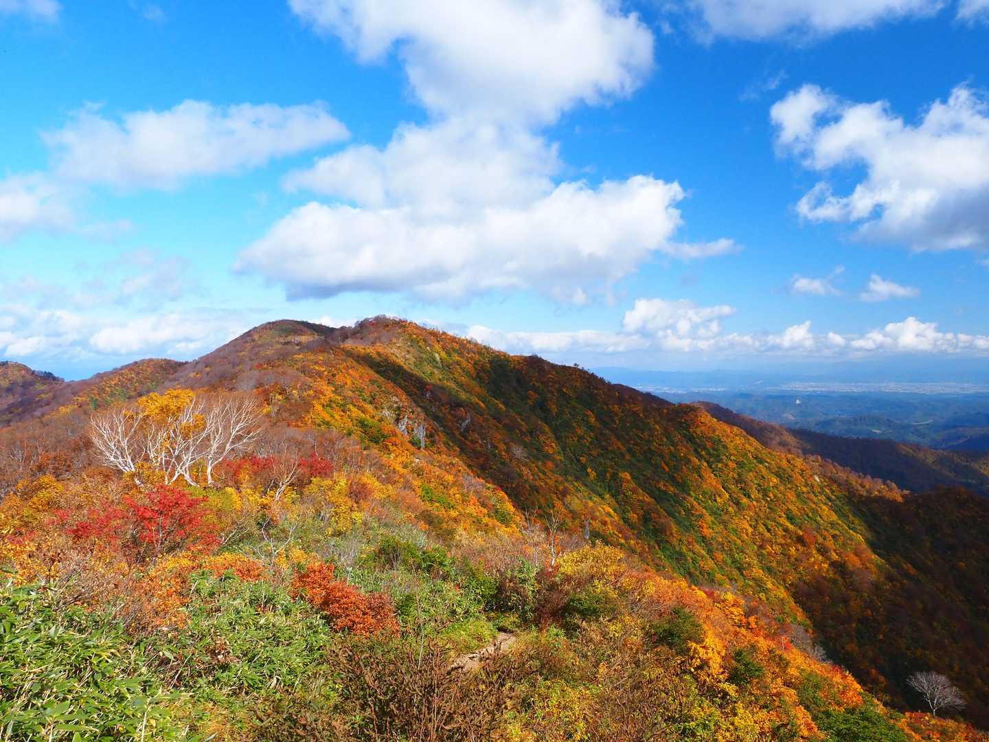 越えてきた地蔵岳🗻を振り返る👀