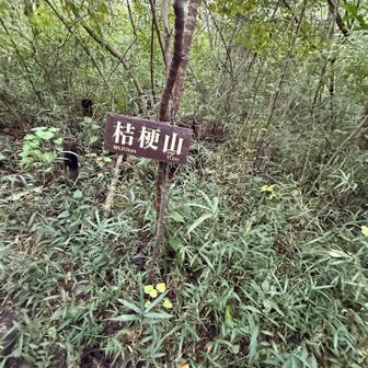 ちょっと寄り道したら
ヤブ蚊に　絡まれてしまった😰