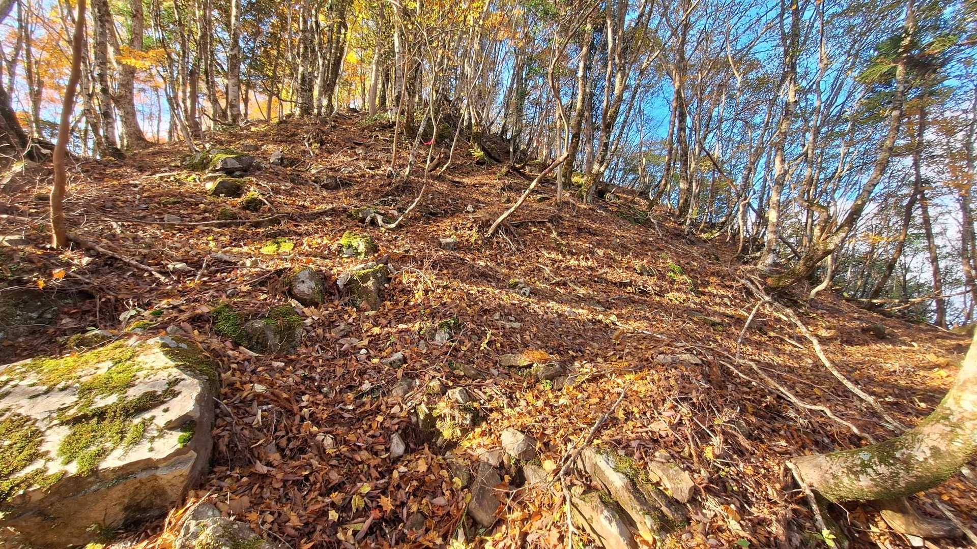 足元は落葉🍂でルートが分かり辛いけど、目線を上げればピンテが沢山あるので助かります🙇