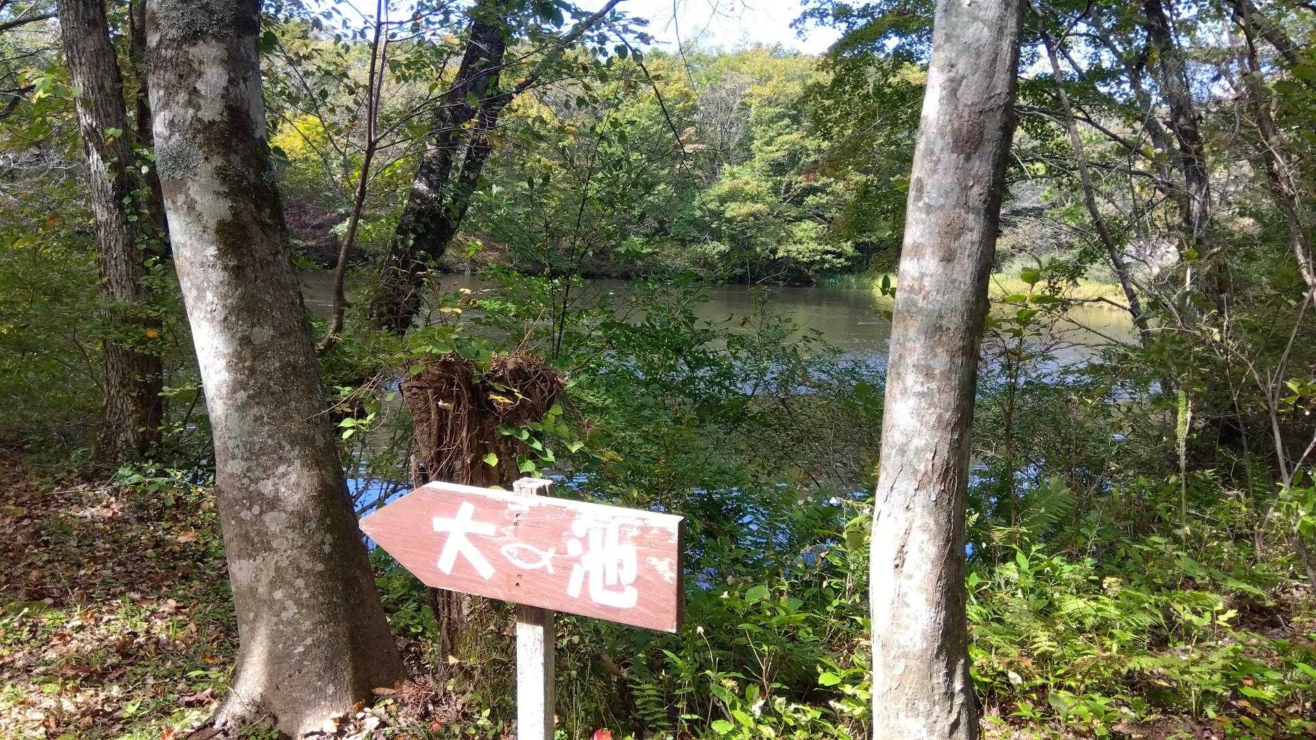 何度も来てるのに初めて見た、大池。