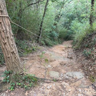 何故ロープが？と思いましたが岩の上に砂があってかなり滑りやすいですね。 