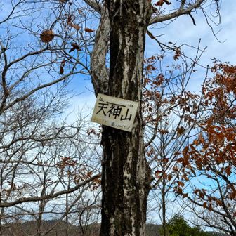 二座目　天神山
特筆するものナシ