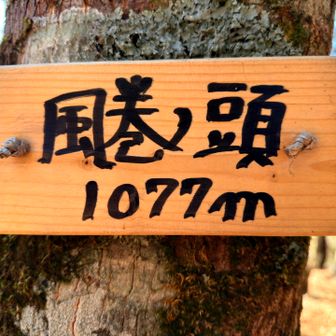 風巻ノ頭登頂1077m