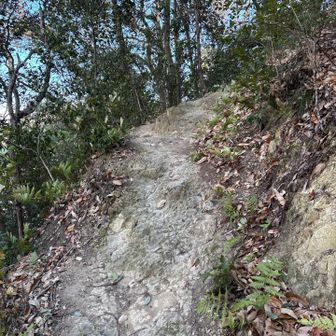 下りは岩岩してます