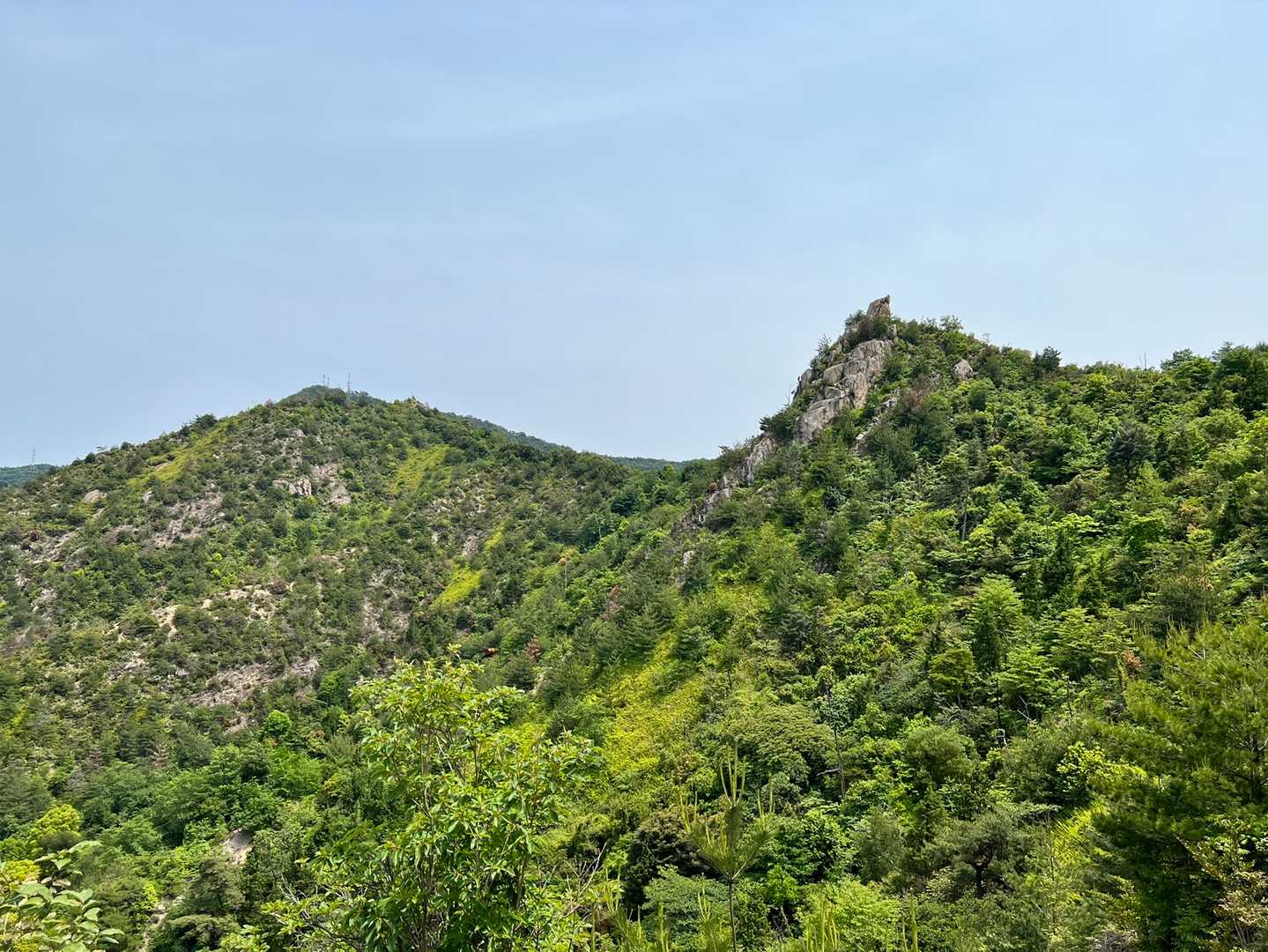 安神山 往復コースの写真
