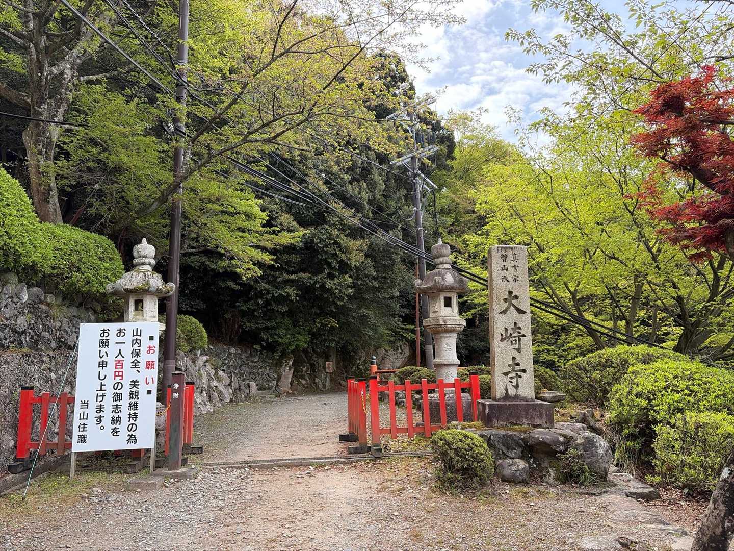 海津大崎の崖の上にある大崎寺から山に入ります。大崎寺の本尊十一面千手観世音菩薩は厄除、開運の御利益あらたかな観音さまと言われています。