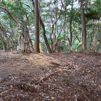 妙見山の山頂です…眺望は…❌️