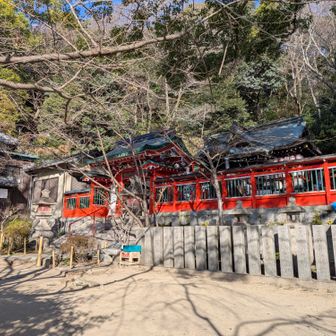 諏訪神社まで下りてきました