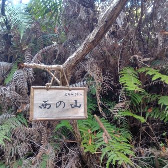 西の山 244m