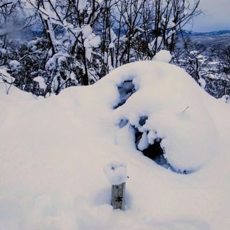 ちょうどリミットの15 時なので
ここを折り返し地点にします🌟