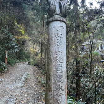 6号路入口まで戻りました