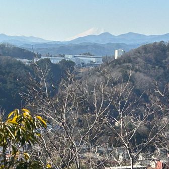 展望が広がる。真っ白な富士山も遠望できる。