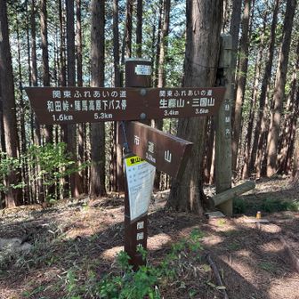 醍醐丸の分岐です。
ここから右折して市道山に向かいます。
いきなりトレイルが不明瞭になってしまい、不安に襲われてしまった私。
でも最初だけだから腹括って進めば良い！