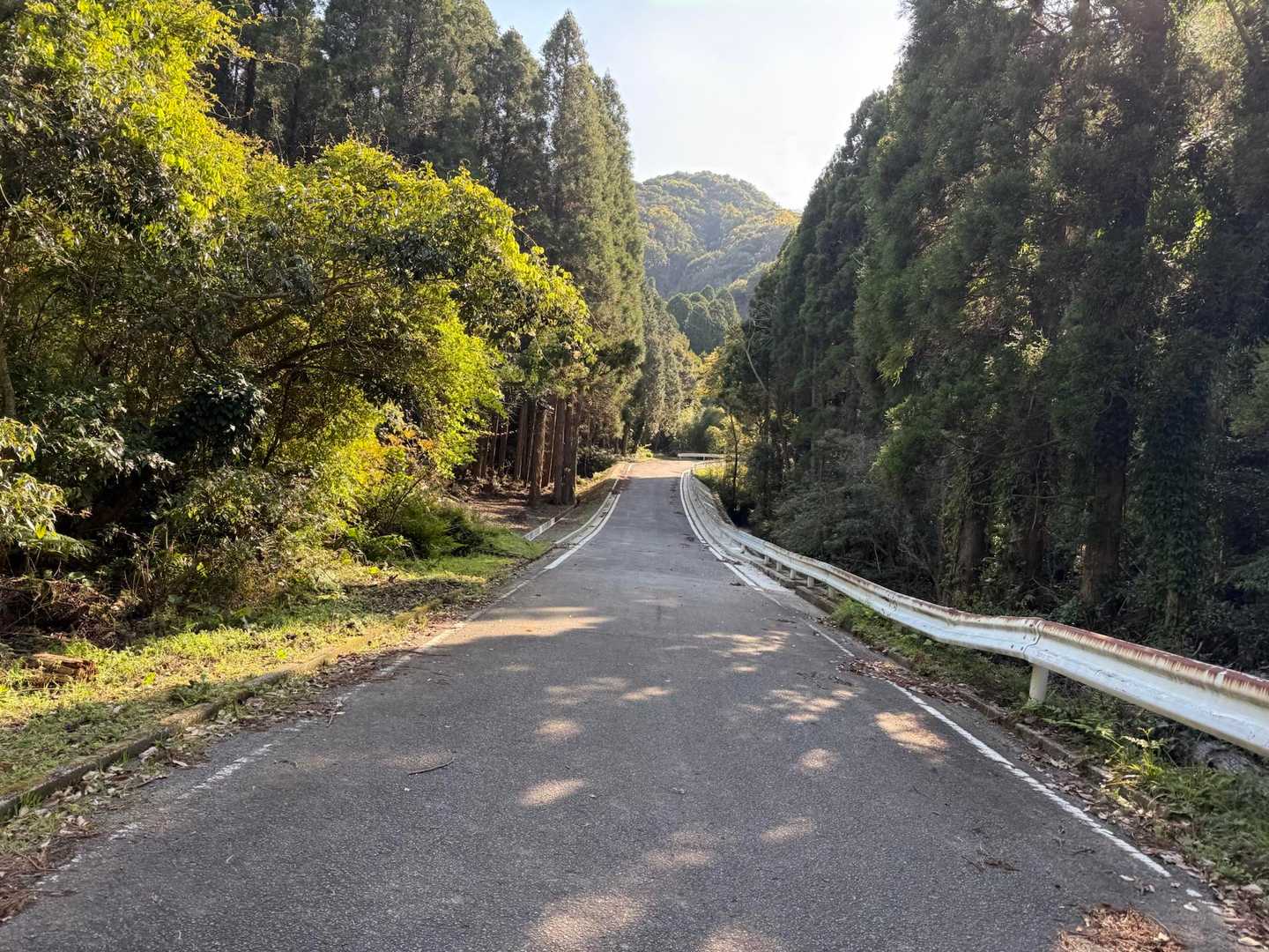 壊れていた道路が治ってる😃
