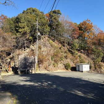 ここまでは車で来れる。
セコップも出来そう（笑）