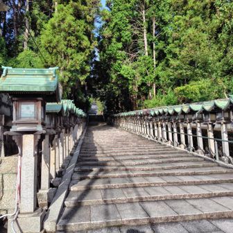 宝山寺参道