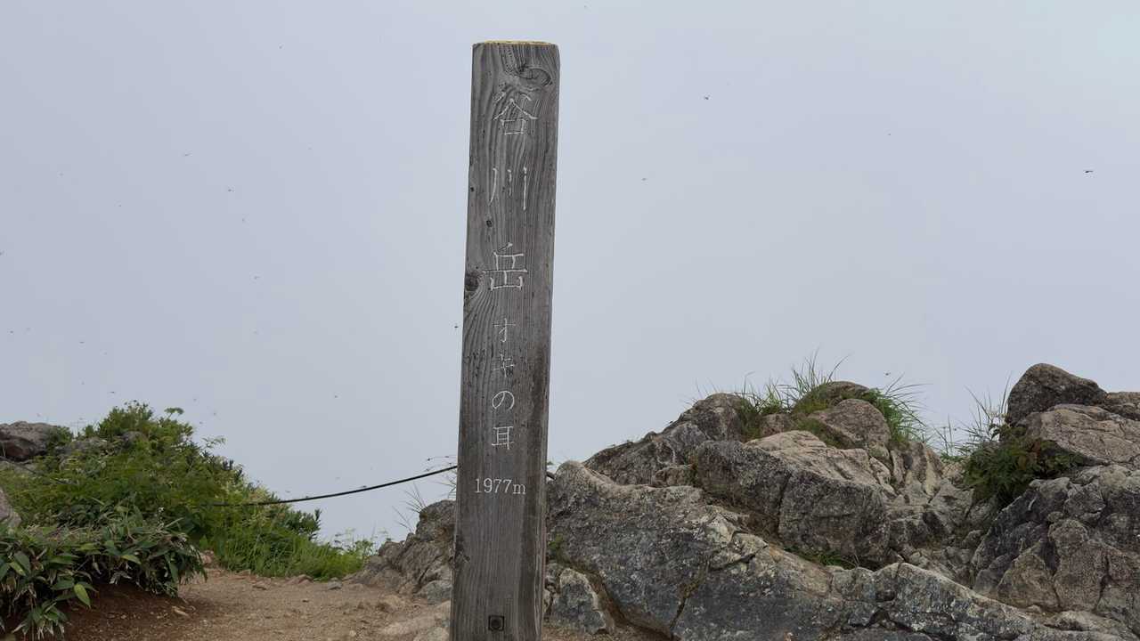 谷川岳（トマの耳・オキノ耳） via 西黒尾根 の写真 28