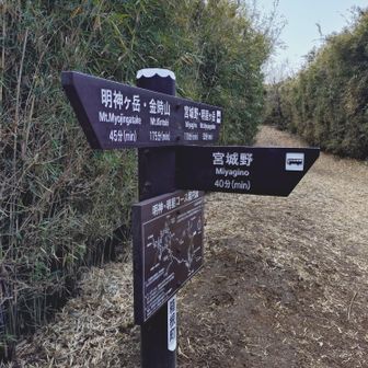 帰りの分岐点 
時間あれば明星ヶ岳へも行きたかったけど今回はパス
