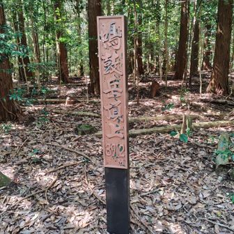 鳴鼓岳頂上