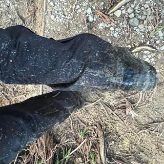 何だか嫌な予感がして後ろ足を見てみると…あぁやっぱり🤷‍♀️これだからバシャバシャドロドロの登山道は嫌なんだよな😅って、山に登らせて貰っているのだから文句言うな自分！