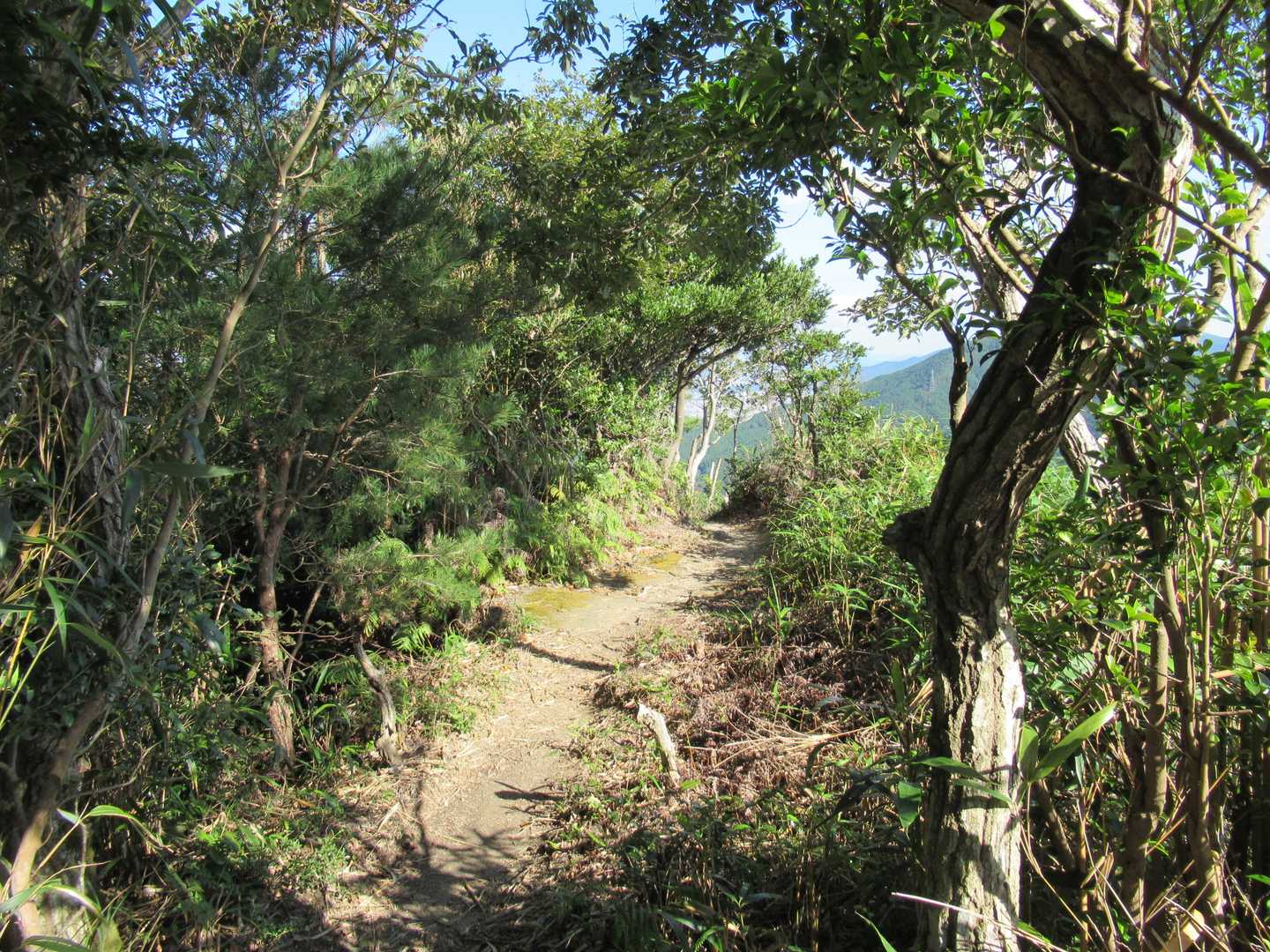 上ノ原方面へ下山！