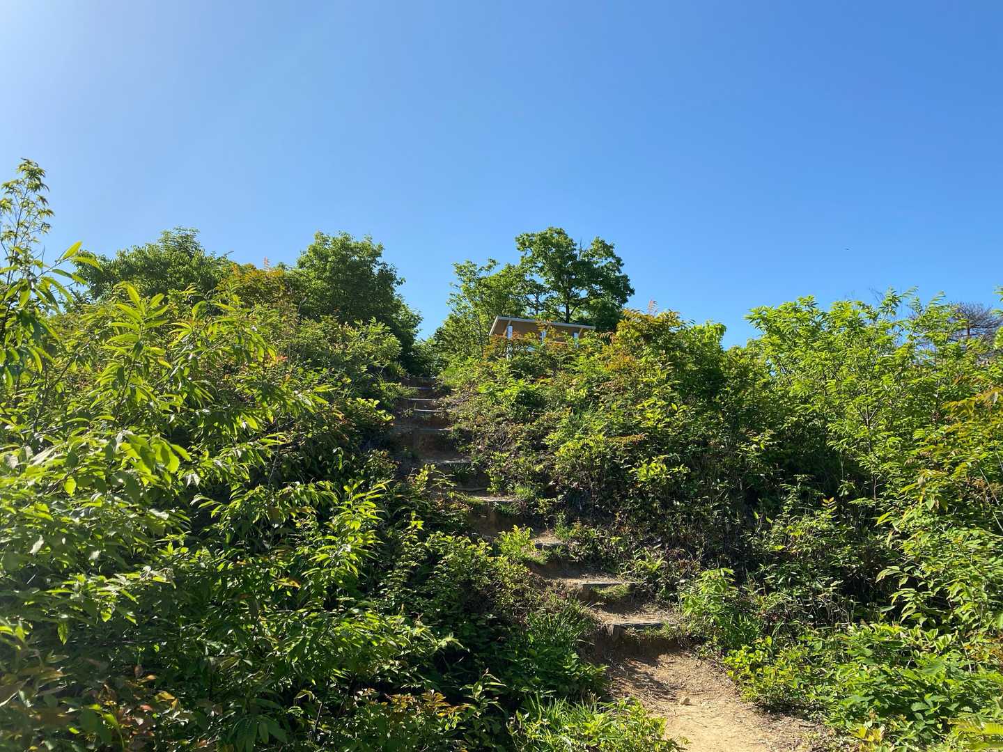 もうちょっとで山頂広場