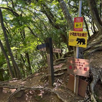汗拭き峠(2合目)。
水分補給デス😐