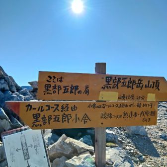 裏銀座は、また来年かな。