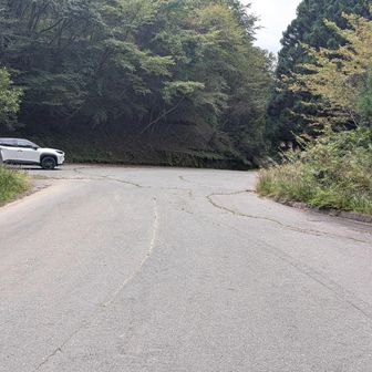 駐車場　誰も居ないね。