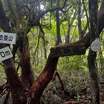 あれ気づいたら最後のピーク⛰️