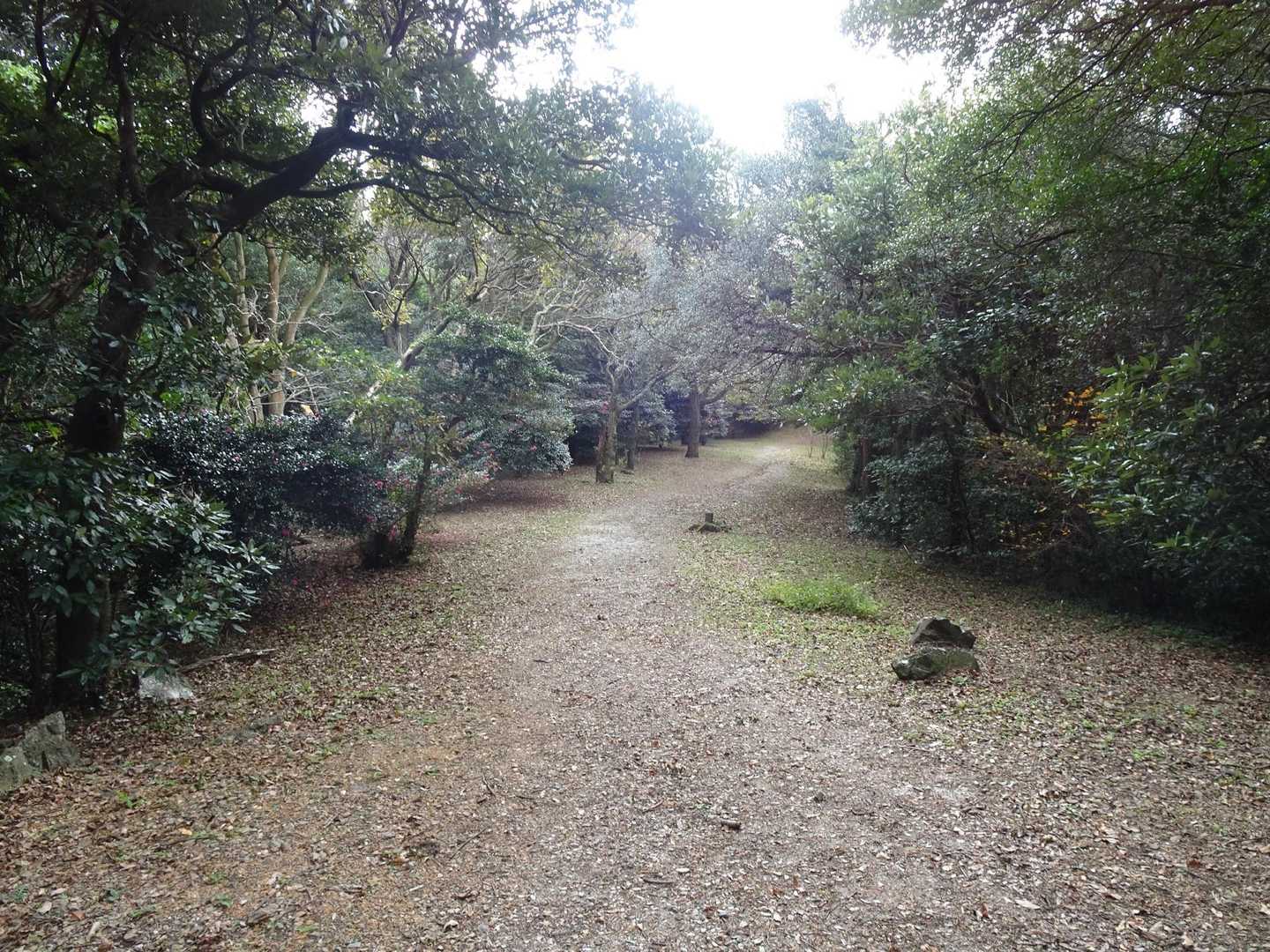 庄十山-藤尾山-中西山-衣笠山 周回コースの写真