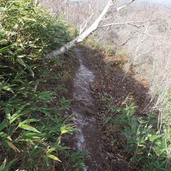 凍っていて滑ってちょい怖かった😱
