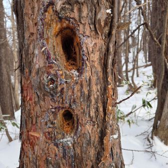 2世帯住宅
4階建てAPもあったな