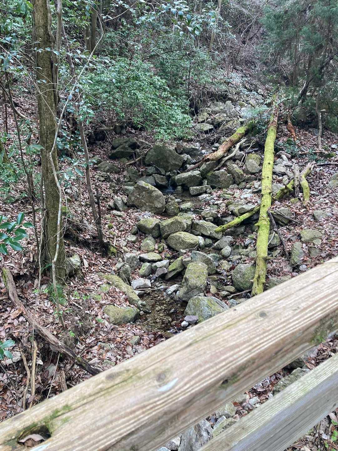 スタート地点から300m程の場所に橋が、水量少なめですが、澄んだ山水が流れてました。