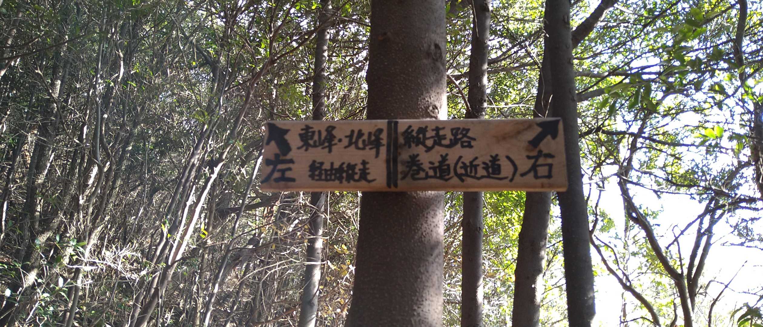 左に👊