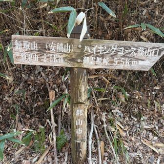 初めてのコースにドキドキ🐻