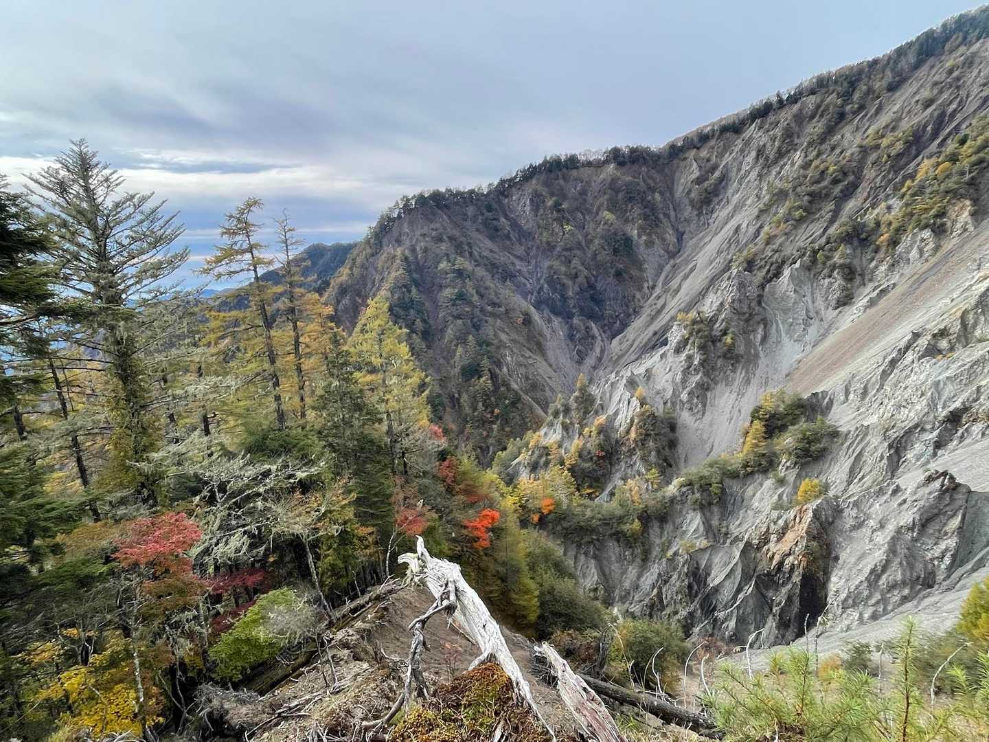山頂直下の大ガレ